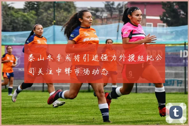 泰山冬季或将引进强力外援经纪公司关注中锋市场动态